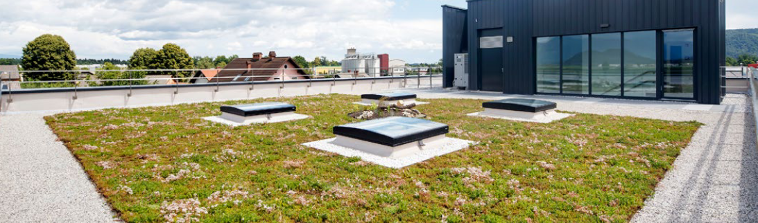 Zelená střecha – vegetační řešení